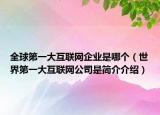 全球第一大互聯(lián)網(wǎng)企業(yè)是哪個(gè)（世界第一大互聯(lián)網(wǎng)公司是簡(jiǎn)介介紹）