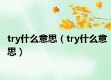 try什么意思（try什么意思）