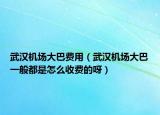 武漢機場大巴費用（武漢機場大巴一般都是怎么收費的呀）