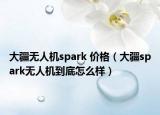 大疆無(wú)人機(jī)spark 價(jià)格（大疆spark無(wú)人機(jī)到底怎么樣）