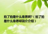 拍了拍是什么意思啊?（拍了拍是什么意思呀簡介介紹）
