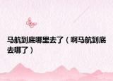 馬航到底哪里去了（啊馬航到底去哪了）