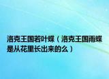 洛克王國若葉蝶（洛克王國雨蝶是從花里長出來的么）