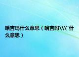 哈吉瑪什么意思（哈吉嗎\
