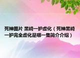 死神圖片 黑崎一護虛化（死神黑崎一護完全虛化是哪一集簡介介紹）