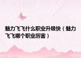 魅力飛飛什么職業(yè)升級(jí)快（魅力飛飛哪個(gè)職業(yè)厲害）