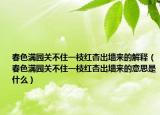 春色滿園關(guān)不住一枝紅杏出墻來(lái)的解釋（春色滿園關(guān)不住一枝紅杏出墻來(lái)的意思是什么）
