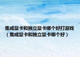 集成顯卡和獨立顯卡哪個好打游戲（集成顯卡和獨立顯卡哪個好）