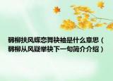 弱柳扶風蝶戀舞袂袖是什么意思（弱柳從風疑舉袂下一句簡介介紹）