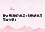 什么是鴻鵠的意思（鴻鵠啥意思簡介介紹）