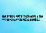 夏蟲不可語冰井蛙不可語海的意思（夏蟲不可語冰井蛙不可語海的意思是什么）