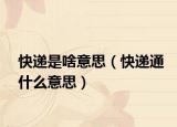 快遞是啥意思（快遞通什么意思）