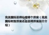 完美國際巫師仙魔哪個(gè)厲害（完美國際刺客厲害還是巫師厲害簡介介紹）