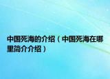 中國死海的介紹（中國死海在哪里簡介介紹）