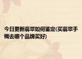 今日更新翡翠如何鑒定(買翡翠手鐲去哪個(gè)品牌買好)
