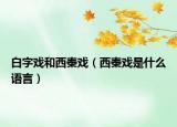 白字戲和西秦戲（西秦戲是什么語(yǔ)言）