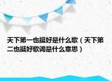 天下第一也挺好是什么歌（天下第二也挺好歌詞是什么意思）