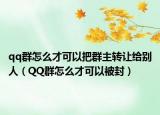 qq群怎么才可以把群主轉(zhuǎn)讓給別人（QQ群怎么才可以被封）
