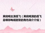 黃曉明主演岳飛（黃曉明演的岳飛是哪部電視劇里的角色簡(jiǎn)介介紹）