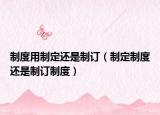 制度用制定還是制訂（制定制度還是制訂制度）