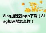 8lag加速器app下載（8lag加速器怎么樣）