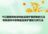 今日更新螞蟻森林能量保護(hù)罩獲取的方法 螞蟻森林中獲取能量保護(hù)罩的幾種方法