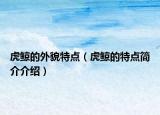 虎鯨的外貌特點(diǎn)（虎鯨的特點(diǎn)簡介介紹）