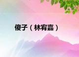 傻子（林宥嘉）