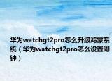 華為watchgt2pro怎么升級鴻蒙系統(tǒng)（華為watchgt2pro怎么設(shè)置鬧鐘）