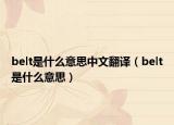 belt是什么意思中文翻譯（belt是什么意思）