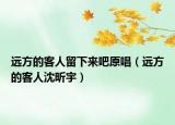 遠(yuǎn)方的客人留下來吧原唱（遠(yuǎn)方的客人沈昕宇）