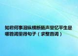 知君何事淚縱橫斷腸聲里憶平生是哪首詞里得句子（求整首詞）