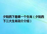 夕陽西下是哪一個生肖（夕陽西下三大生肖簡介介紹）