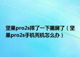 堅(jiān)果pro2s摔了一下黑屏了（堅(jiān)果pro2s手機(jī)死機(jī)怎么辦）