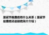 圣誕節(jié)跟麋鹿有什么關(guān)系（圣誕節(jié)是麋鹿還是馴鹿簡介介紹）