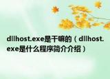 dllhost.exe是干嘛的（dllhost.exe是什么程序簡(jiǎn)介介紹）