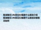 陳慧敏在14k雙花紅棍是什么級(jí)別介紹 陳慧敏在14k雙花紅棍是什么級(jí)別詳細(xì)情況如何