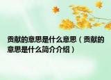 貢獻(xiàn)的意思是什么意思（貢獻(xiàn)的意思是什么簡介介紹）