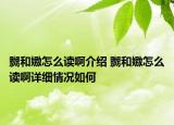 嬲和嫐怎么讀啊介紹 嬲和嫐怎么讀啊詳細(xì)情況如何