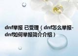 dnf舉報(bào) 已受理（dnf怎么舉報(bào)-dnf如何舉報(bào)簡(jiǎn)介介紹）