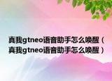 真我gtneo語音助手怎么喚醒（真我gtneo語音助手怎么喚醒）