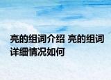 亮的組詞介紹 亮的組詞詳細情況如何