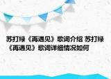 蘇打綠《再遇見》歌詞介紹 蘇打綠《再遇見》歌詞詳細(xì)情況如何