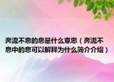 奔流不息的息是什么意思（奔流不息中的息可以解釋為什么簡(jiǎn)介介紹）