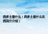 西多士是什么（西多士是什么東西簡介介紹）