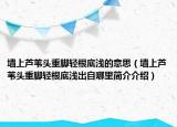 墻上蘆葦頭重腳輕根底淺的意思（墻上蘆葦頭重腳輕根底淺出自哪里簡介介紹）