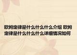 歐姆定律是什么什么什么介紹 歐姆定律是什么什么什么詳細情況如何