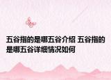 五谷指的是哪五谷介紹 五谷指的是哪五谷詳細(xì)情況如何