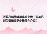 天龍八部武魂最高多少級（天龍八部帶武魂要多少級簡介介紹）