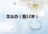 怎么辦（我12歲）